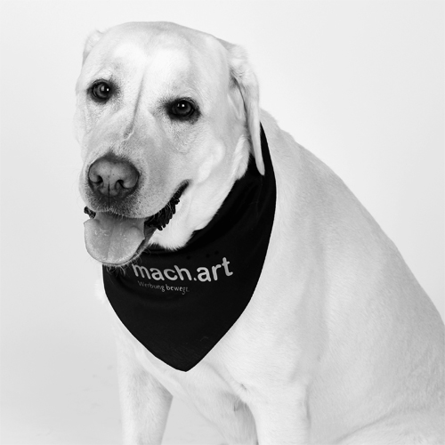Shira - Firmenliebling der mach.art Werbeagentur Thueringen GmbH